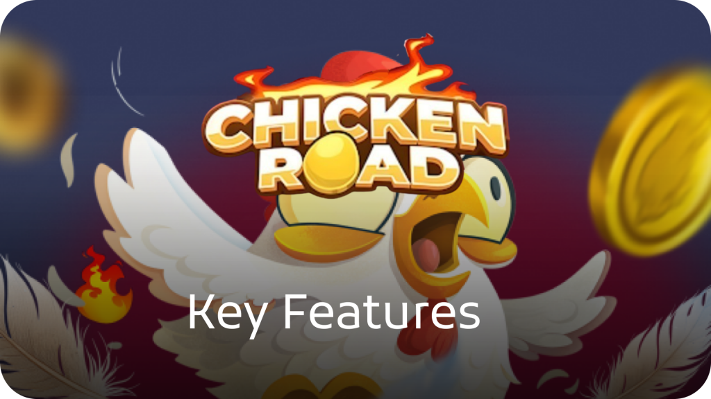 Key Features
